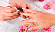 功能完善先进的网页攻击软件